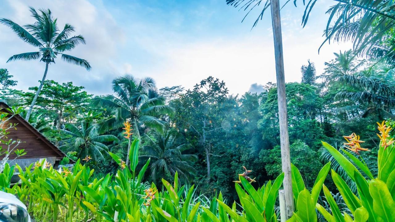 Iyume Villas Tegallalang  Bagian luar foto