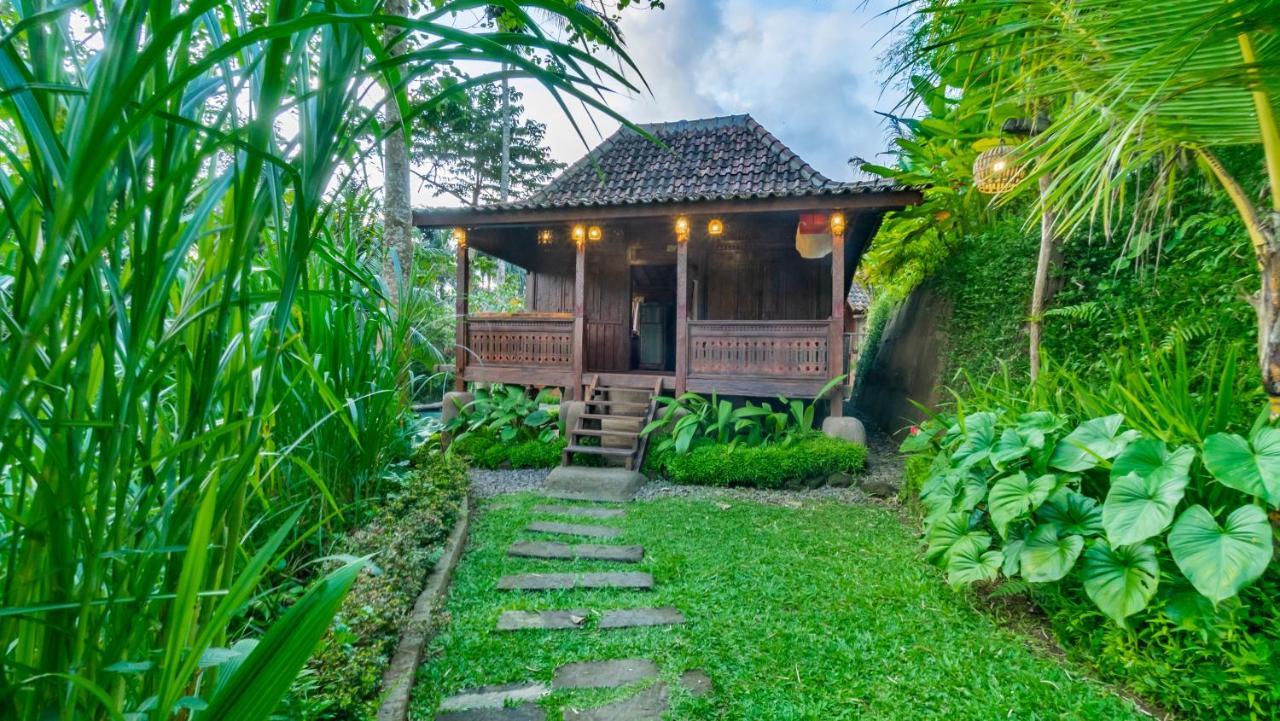 Iyume Villas Tegallalang  Bagian luar foto